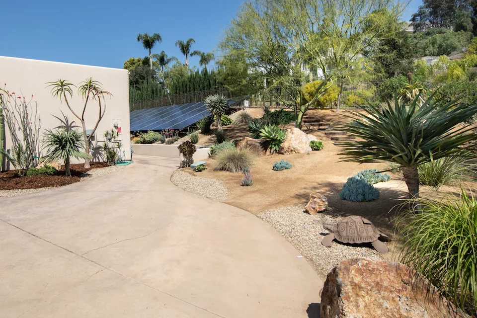 Representative Southern California water-wise planting: palo verde, agaves, succulents, and bunchgrasses on a gravel slope beside a home